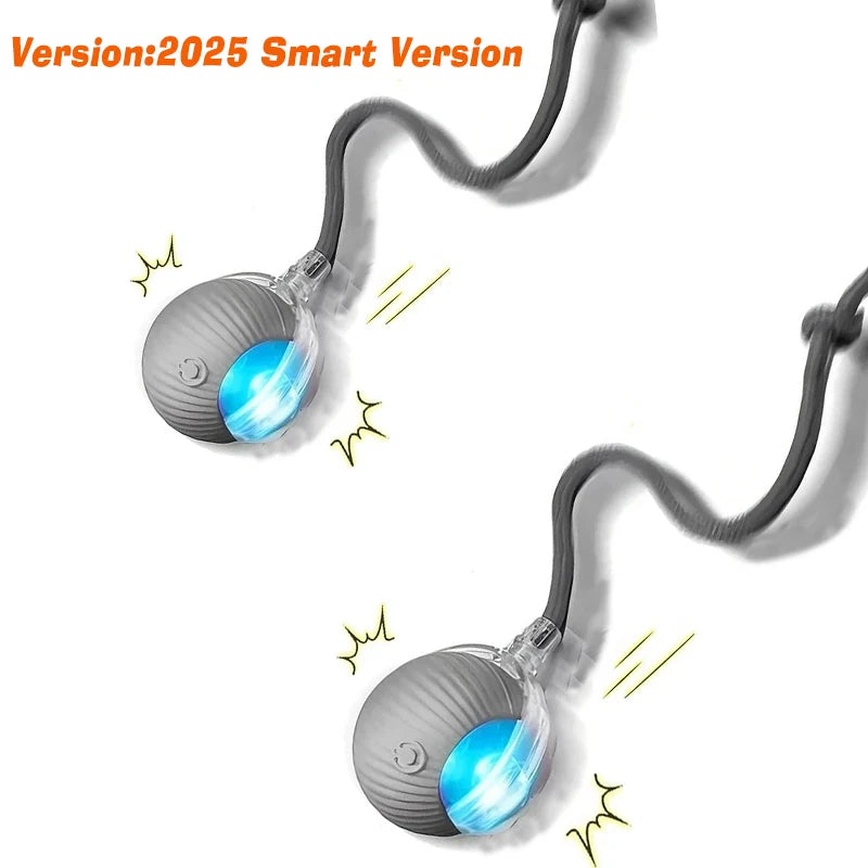 New Dog Interactive Ball Toy,Automatic Rolling Dog Ball Rechargeable,Smart Puppy Interactive Toy,Intelligent Balls Toy for Dogs